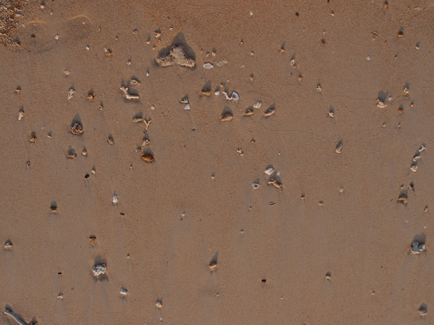 2015-09-23 Muschelkomposition 1